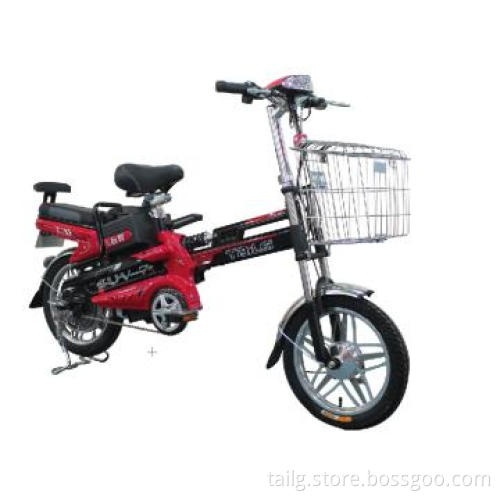 Popular 48V Green Power Electric bicycle for young